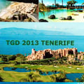 Plaquette Tenerife 2013 001
