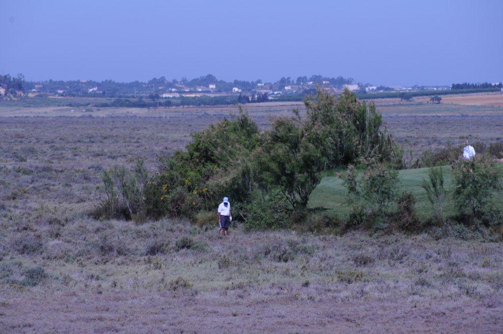 Ma balle dans la pampa